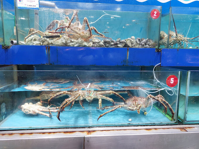 Top Seafood Restaurants in Hanoi 5 the gioi hai san 1